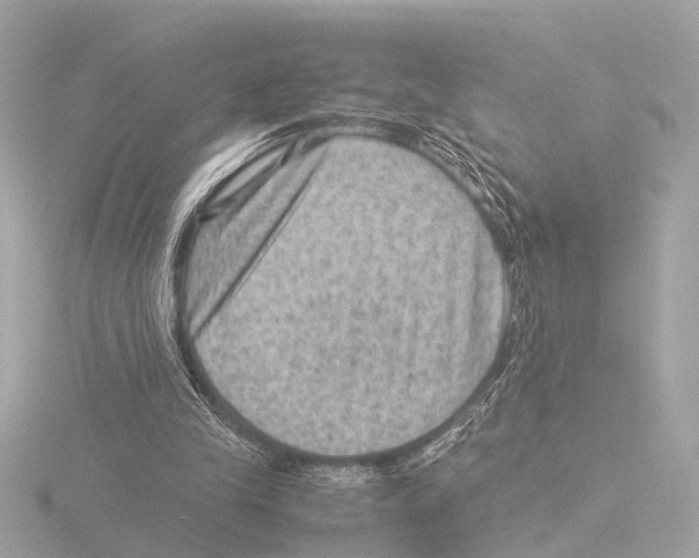 X0000116060245200912181318