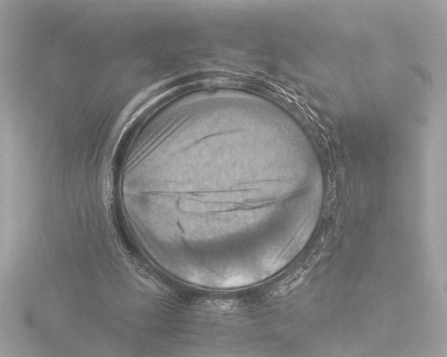 X0000116060247200912181319