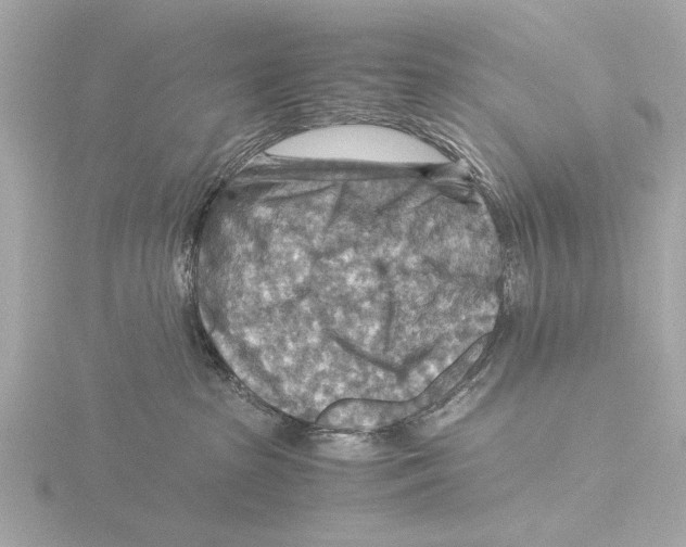X0000116060285200912181319