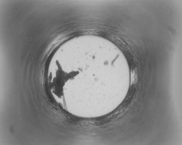 X0000116060291200912181318