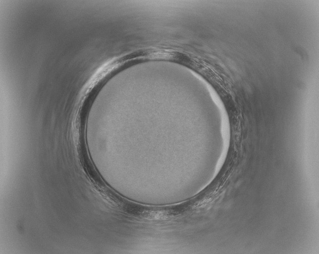 X0000116060295200912181318