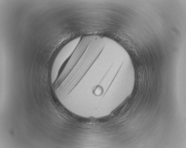 X0000116060308200912181318