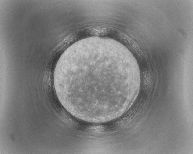 X0000116060313200912181318