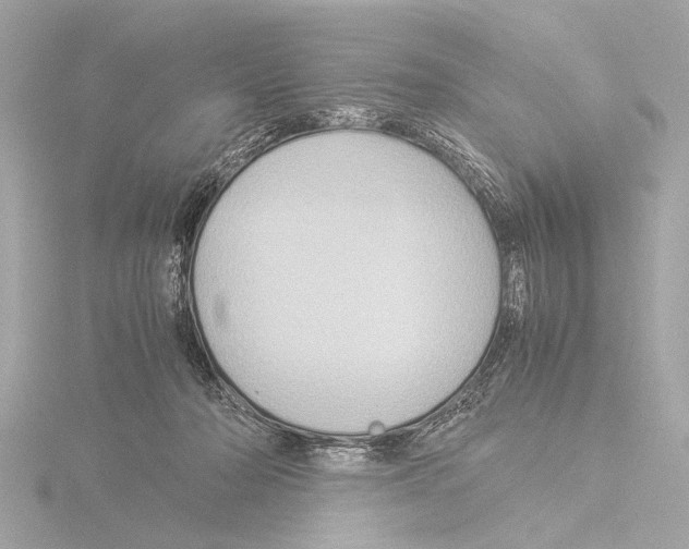 X0000116060318200912181318