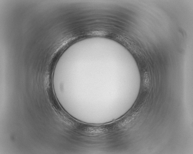 X0000116060351200912181317