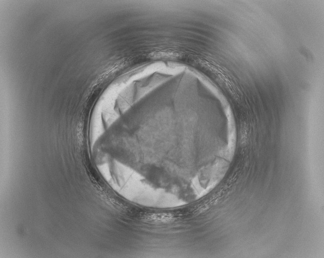 X0000116060353200912181317