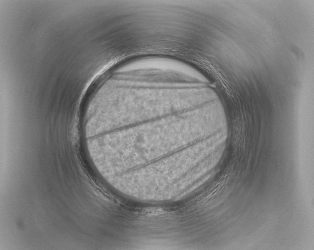 X0000116060392200912181317