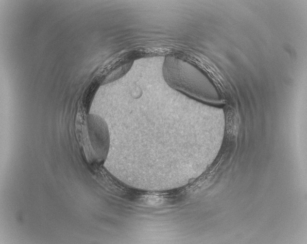 X0000116060425200912181317