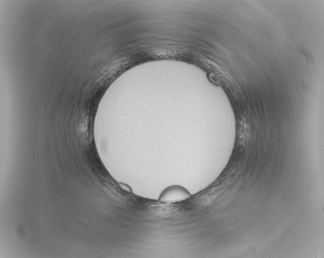 X0000116060428200912181317