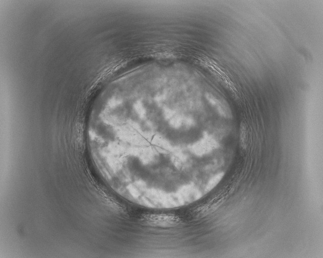 X0000116060449200912181316