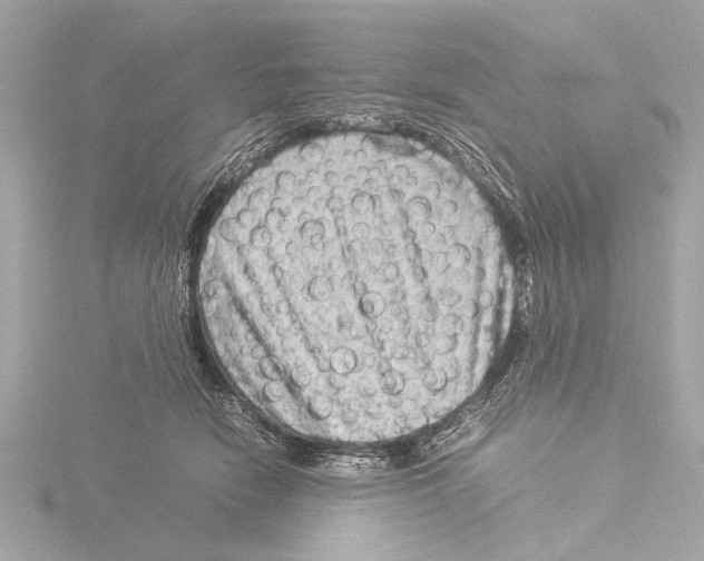 X0000116060466200912181316
