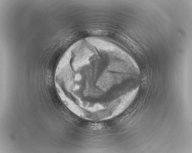 X0000116060469200912181316