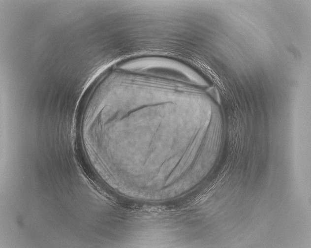 X0000116060484200912181316