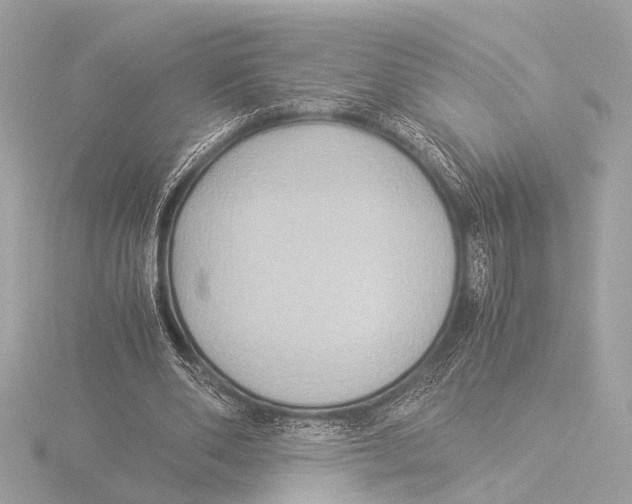 X0000116060486200912181316