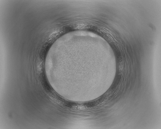 X0000116060503200912181316