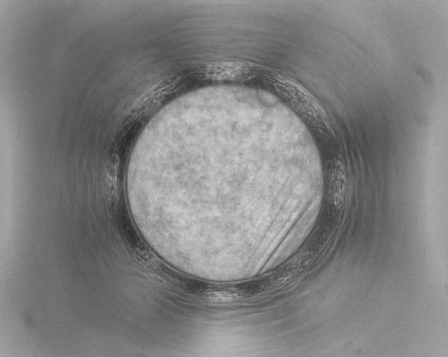 X0000116060510200912181316