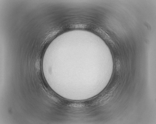 X0000116060537200912181315