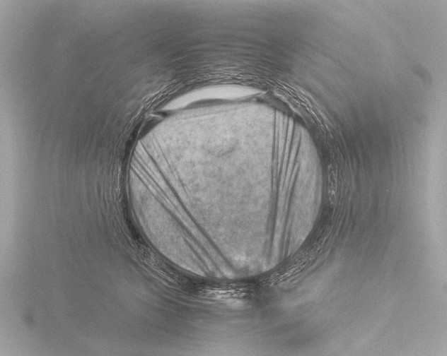 X0000116060563200912181315