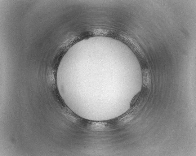 X0000116060573200912181315