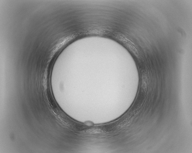 X0000116060578200912181315