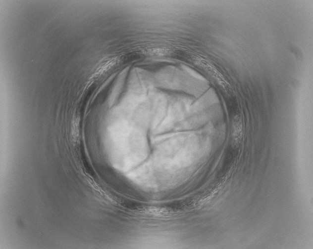 X0000116060585200912181315