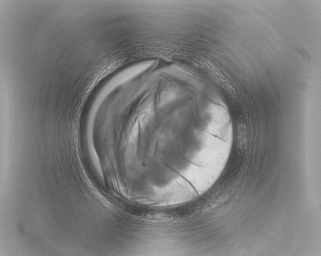 X0000116060634200912181314