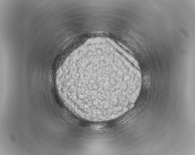 X0000116060662200912181314