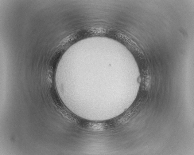 X0000116060710200912181313