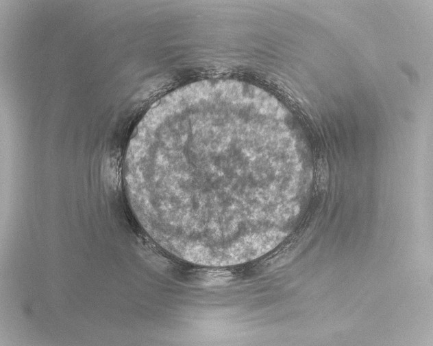 X0000116060719200912181313