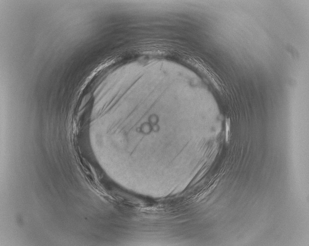 X0000116060723200912181312