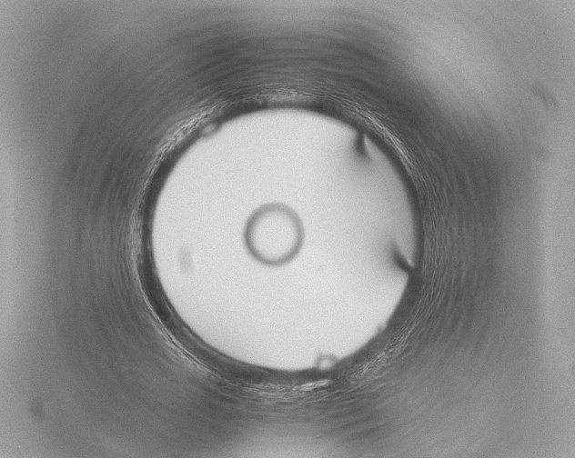 X0000116060725200912181312