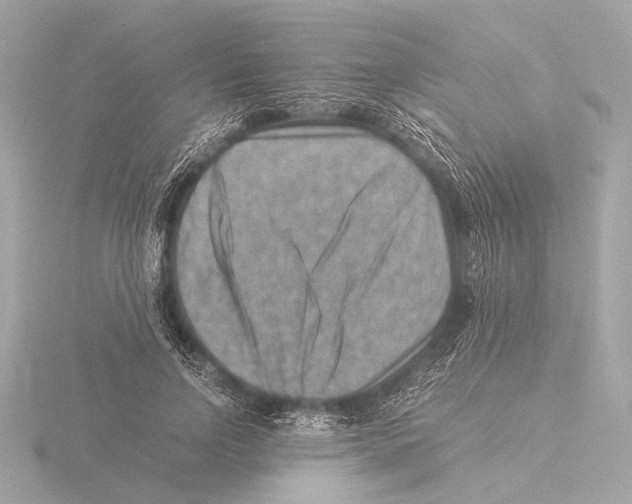 X0000116060742200912181313