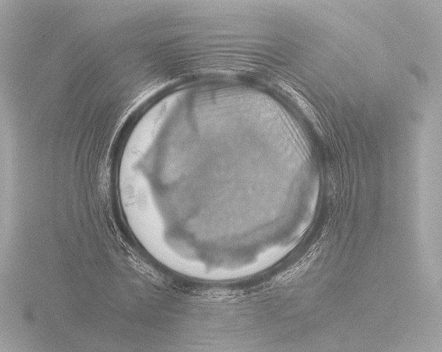 X0000116060779200912181312