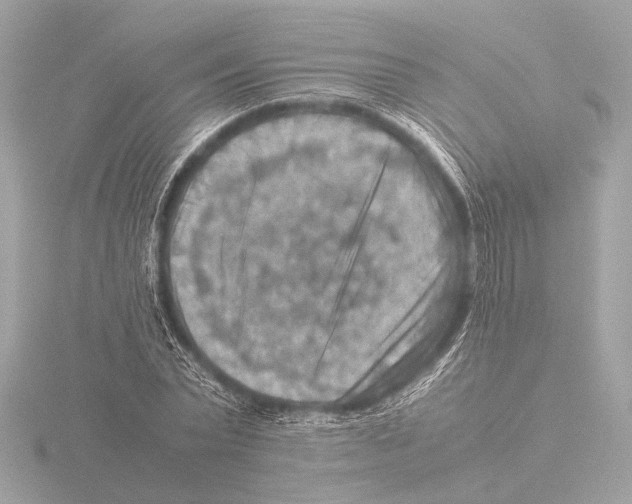 X0000116060783200912181312