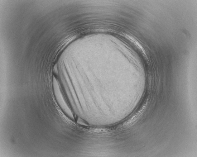 X0000116060801200912181312