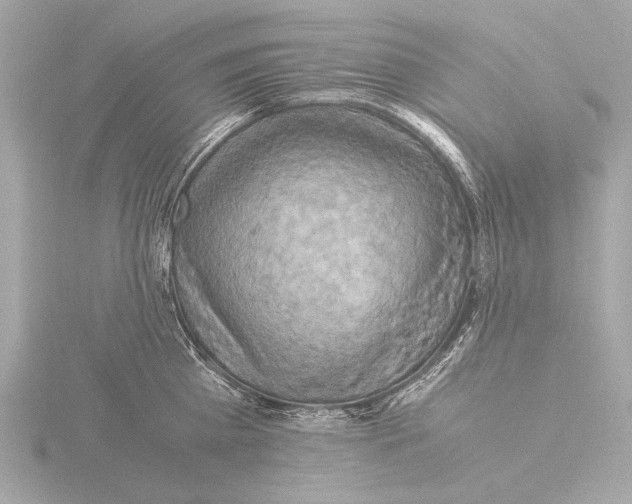 X0000116060809200912181312