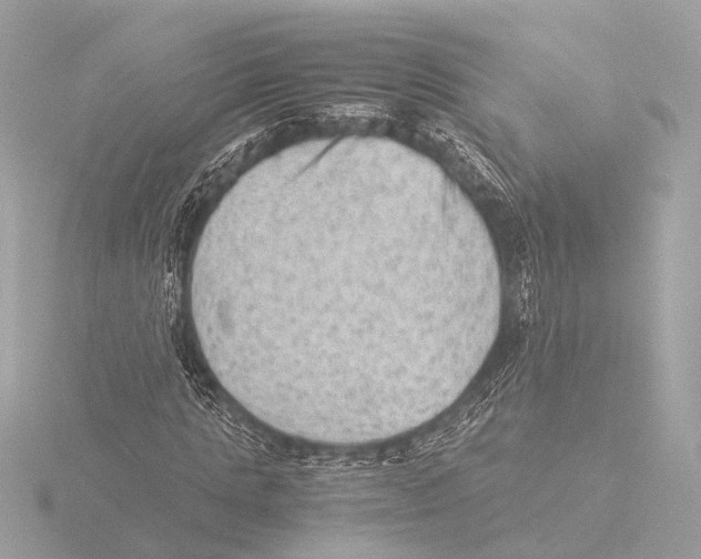 X0000116060821200912181311