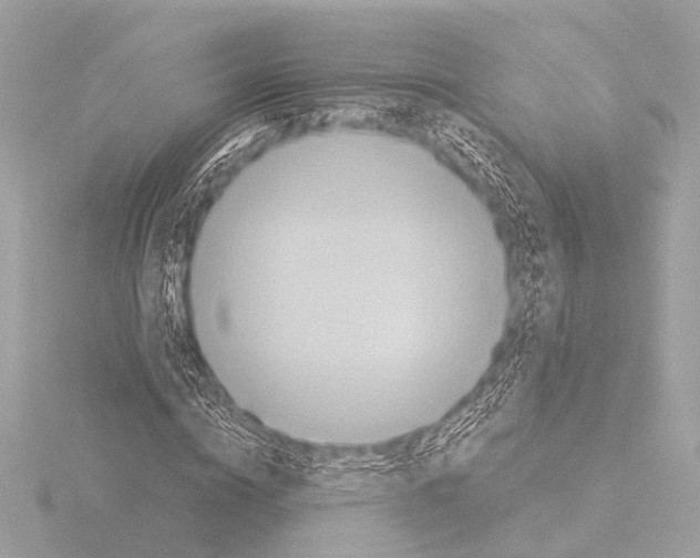 X0000116060824200912181311