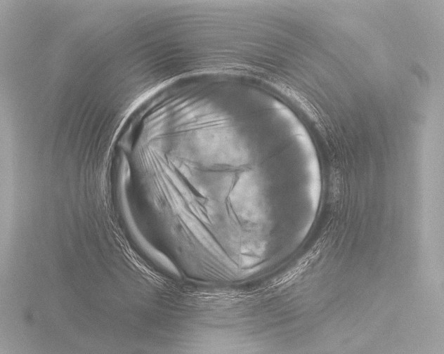 X0000116060830200912181311