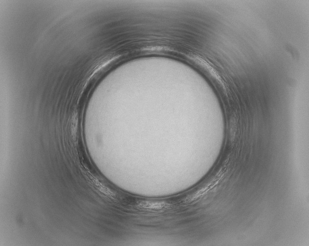 X0000116060831200912181311