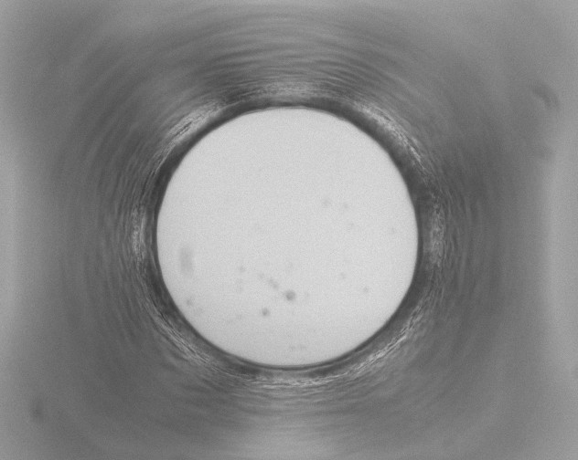 X0000116060873200912181311