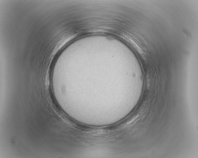 X0000116060885200912181311