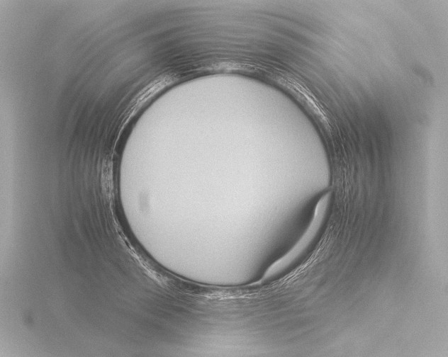 X0000116060898200912181310