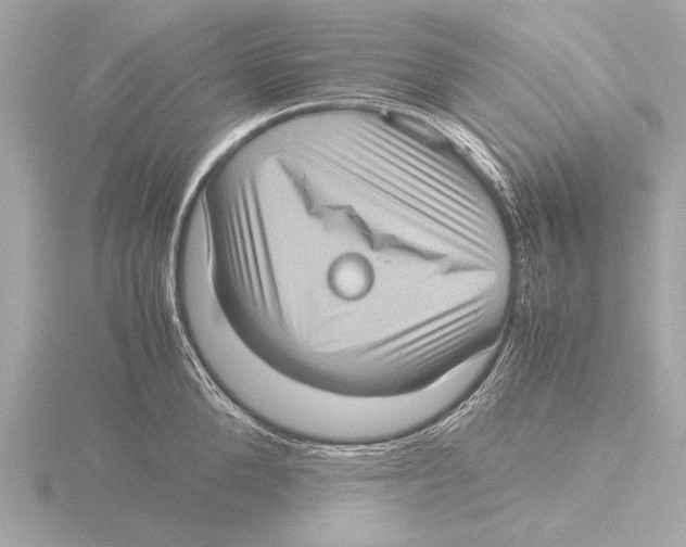 X0000116060904200912181310
