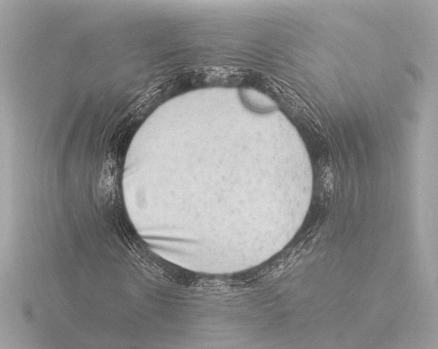 X0000116060914200912181310