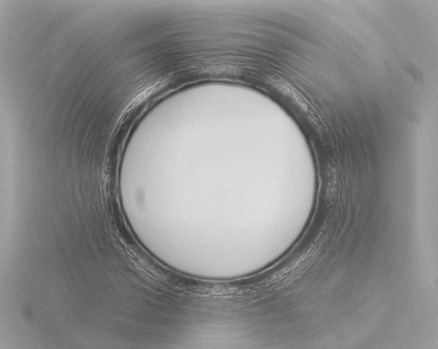 X0000116060922200912181310