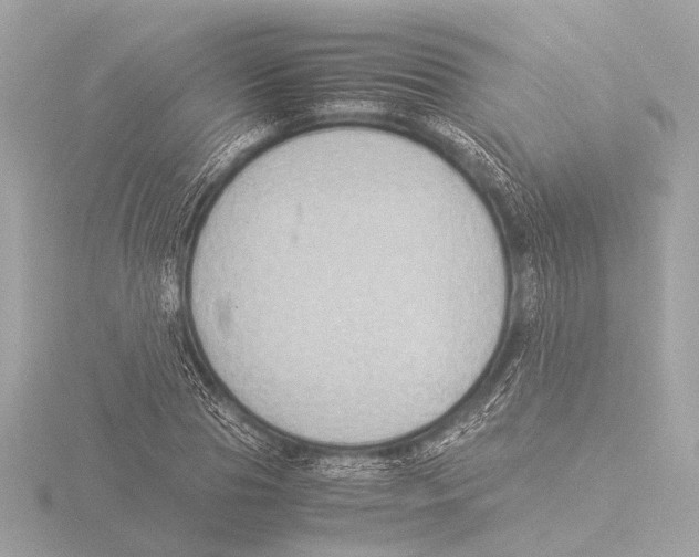 X0000116060929200912181310