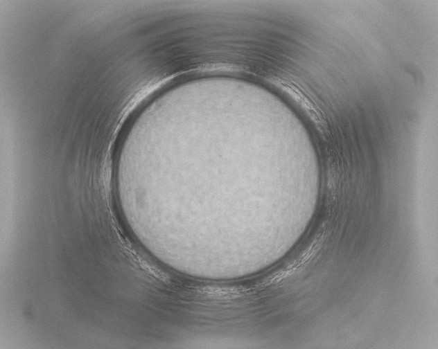 X0000116060933200912181310