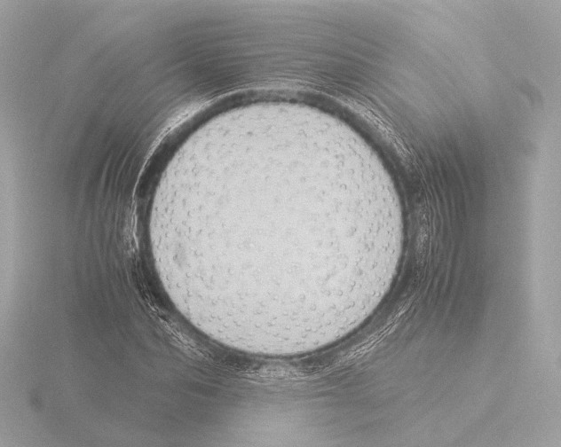 X0000116060974200912181309