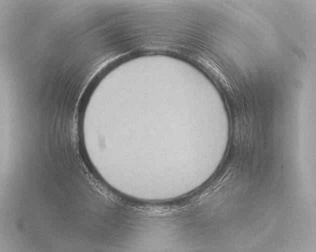 X0000116060976200912181309